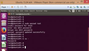 ubuntu passwrd principal